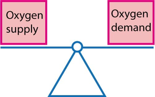 Figure 2. The balance between oxygen supply and demand.