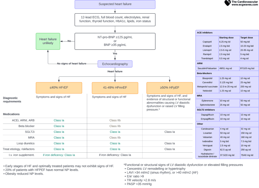 Overview of diagnosis, classification and management of heart failure